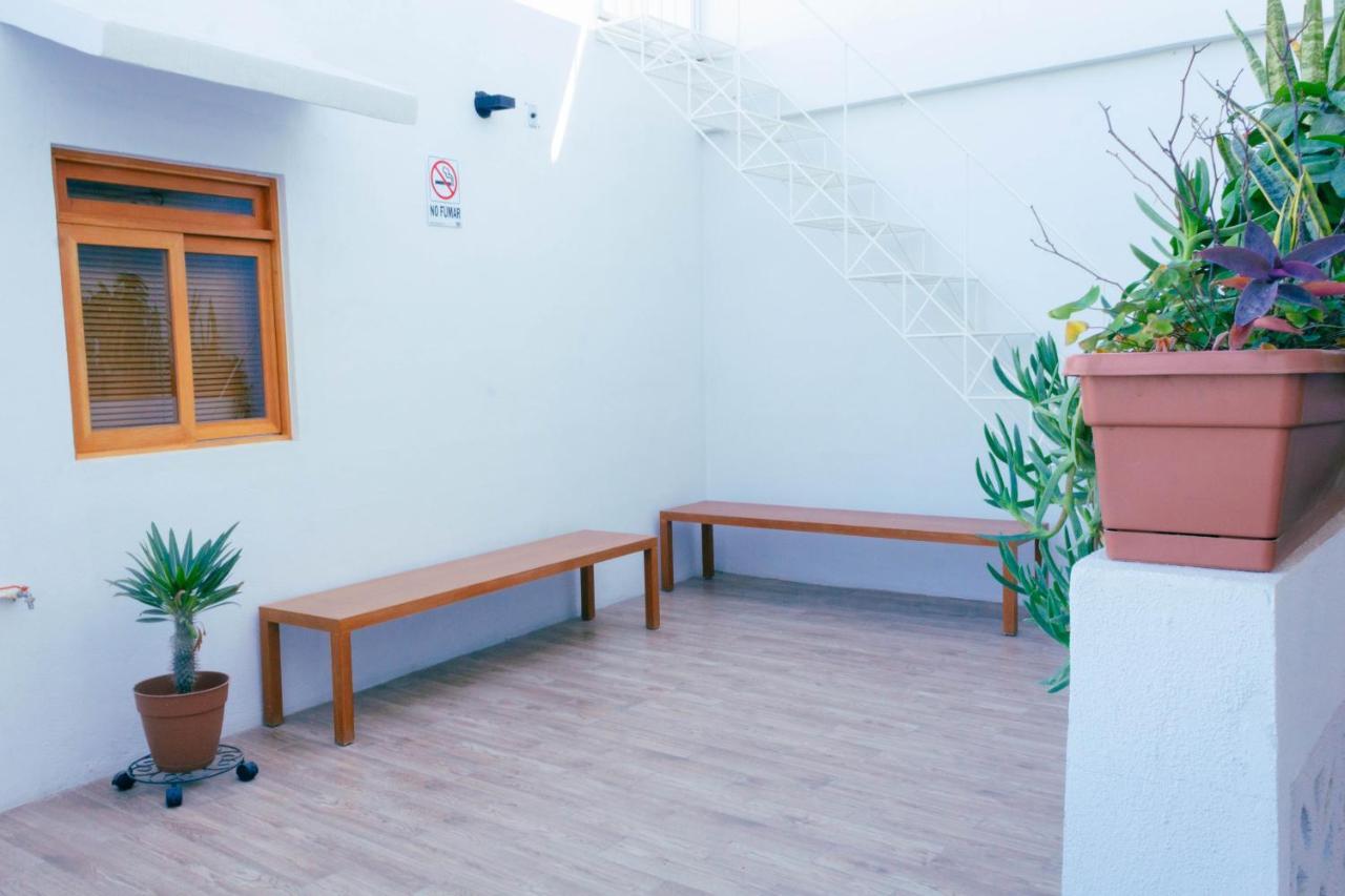 Casa Palo Verde กาโบซานลูกัส ภายนอก รูปภาพ